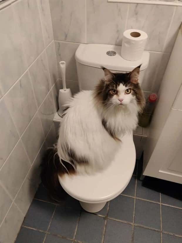 Klyker Picdump #1531 (41 photos)