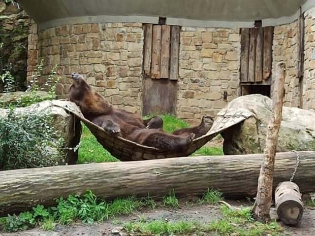 Klyker Picdump #1532 (42 photos)