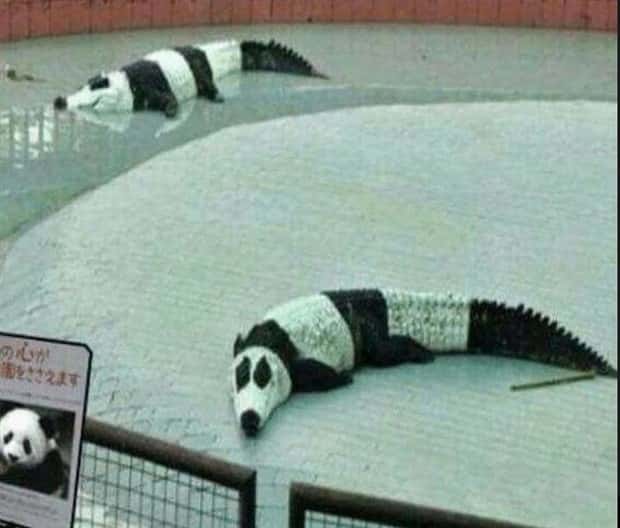 Klyker Picdump #1533 (43 photos)