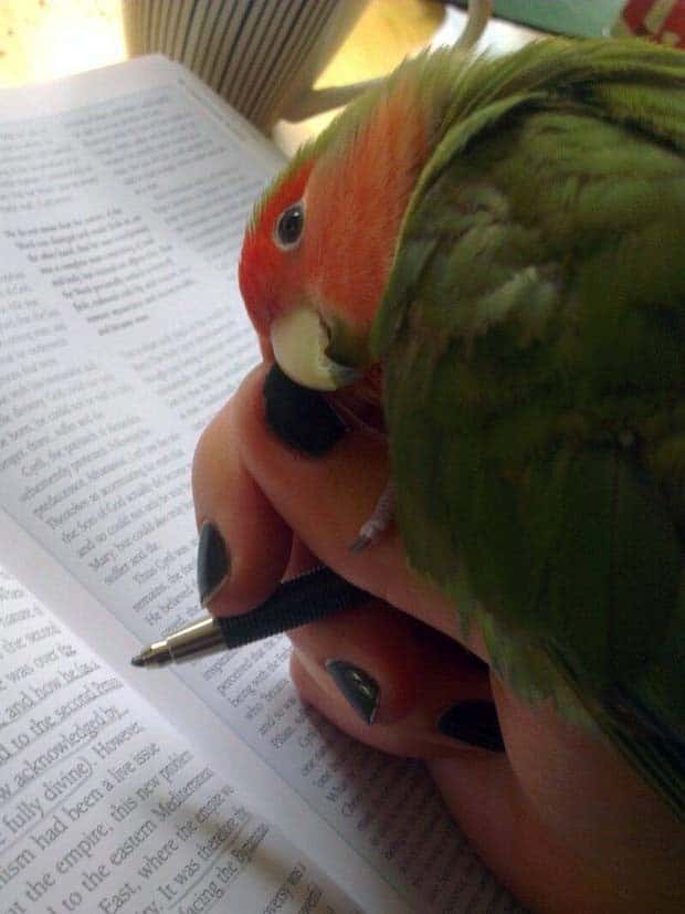 Klyker Picdump #1533 (43 photos)