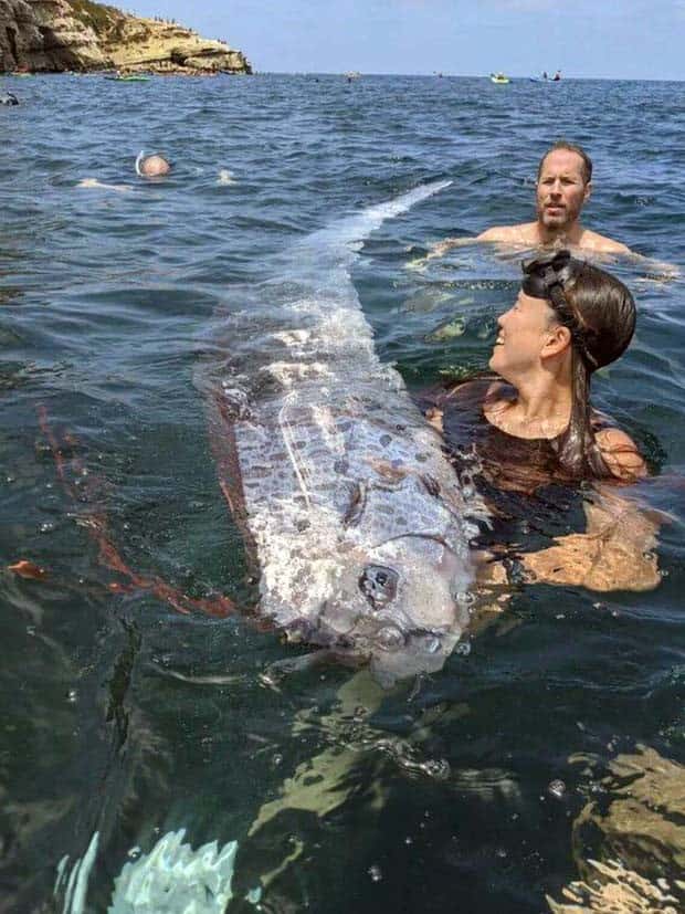 Klyker Picdump #1533 (43 photos)