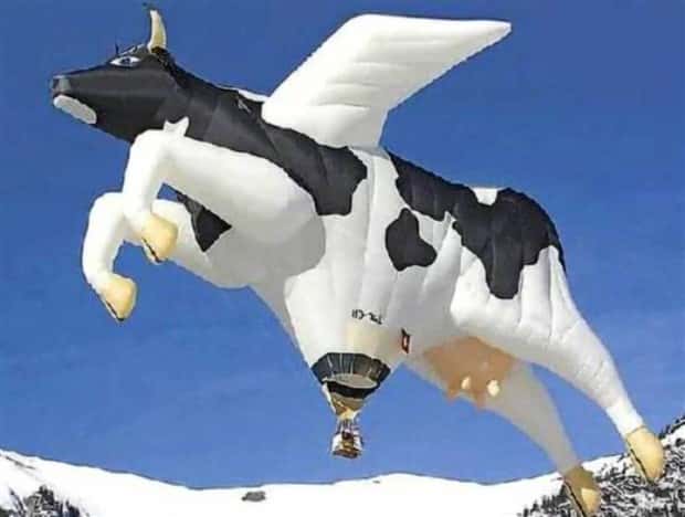 Klyker Picdump #1534 (44 photos)