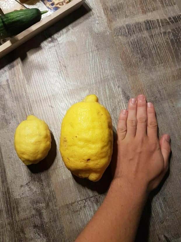 Klyker Picdump #1534 (44 photos)