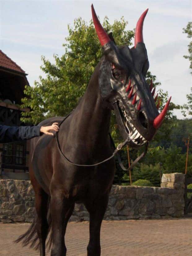 Klyker Picdump #1535 (45 photos)