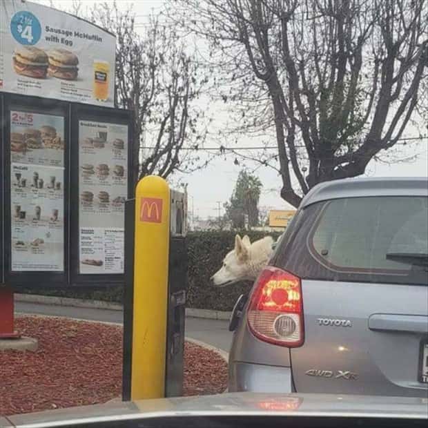 Klyker Picdump #1535 (45 photos)
