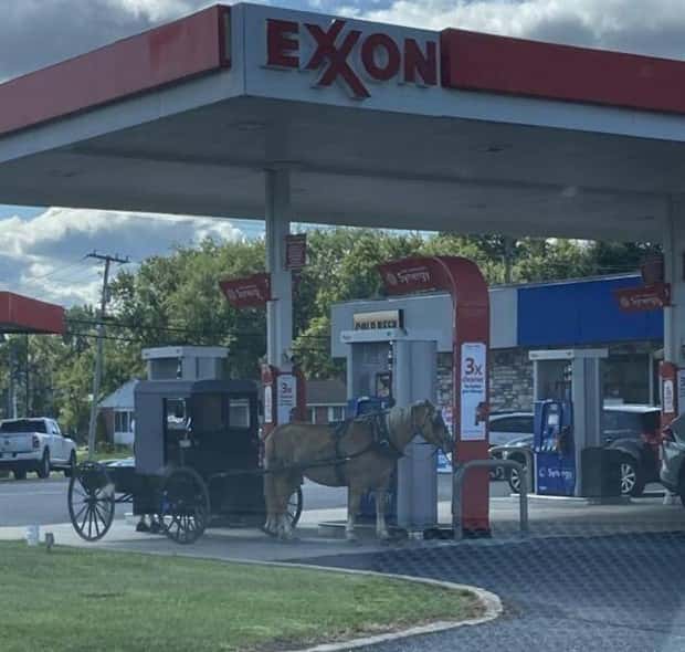 Klyker Picdump #1538 (43 photos)