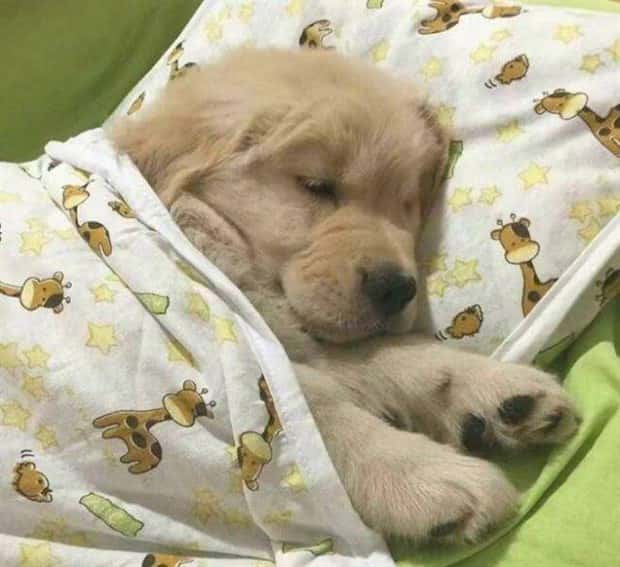 Klyker Picdump #1538 (43 photos)