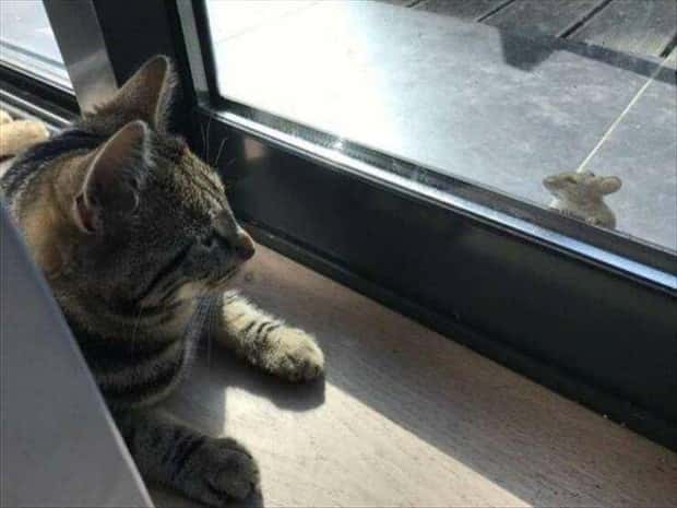 Klyker Picdump #1538 (43 photos)