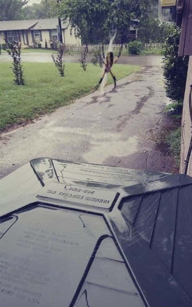 Klyker Picdump #1538 (43 photos)