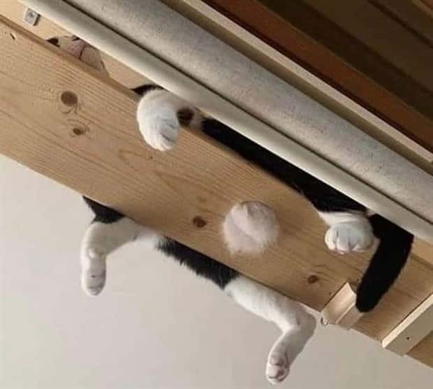 Klyker Picdump #1538 (43 photos)