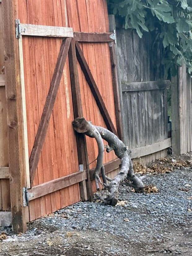 Klyker Picdump #1538 (43 photos)