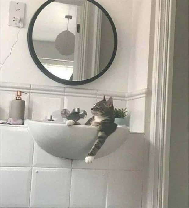 Klyker Picdump #1539 (44 photos)