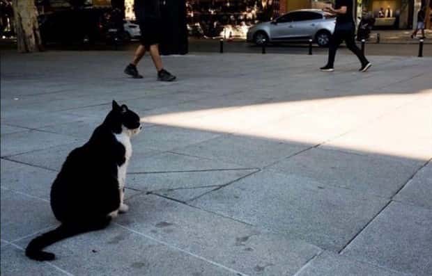 Klyker Picdump #1521 (41 photos)