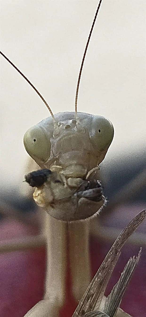 Klyker Picdump #1521 (41 photos)