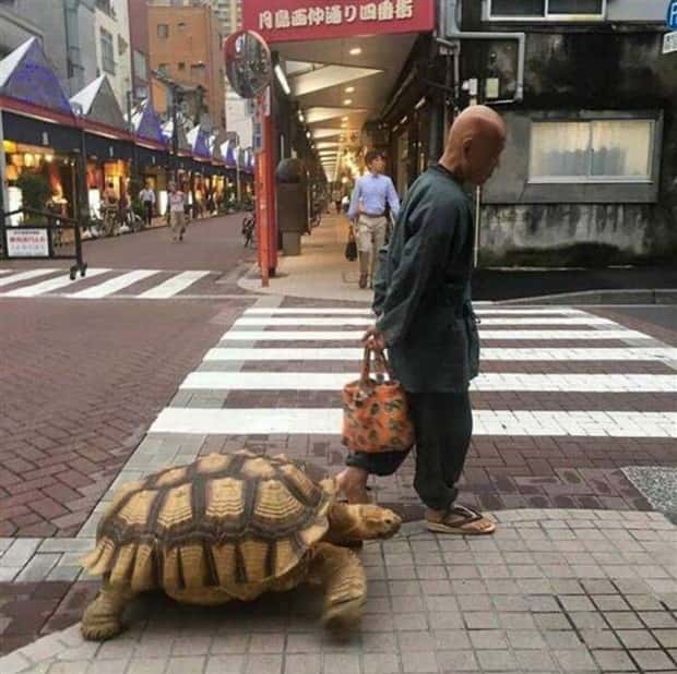 Klyker Picdump #1521 (41 photos)