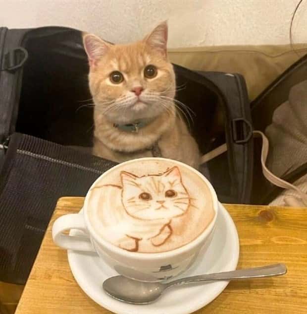 Klyker Picdump #1521 (41 photos)