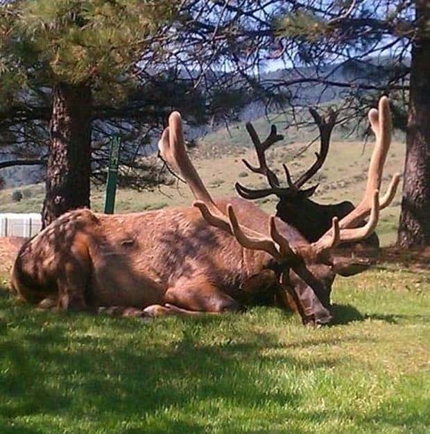 Klyker Picdump #1521 (41 photos)