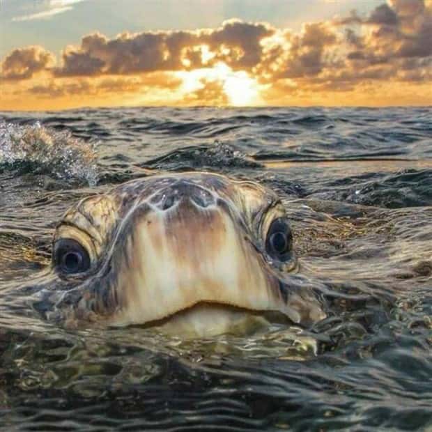 Klyker Picdump #1523 (43 photos)