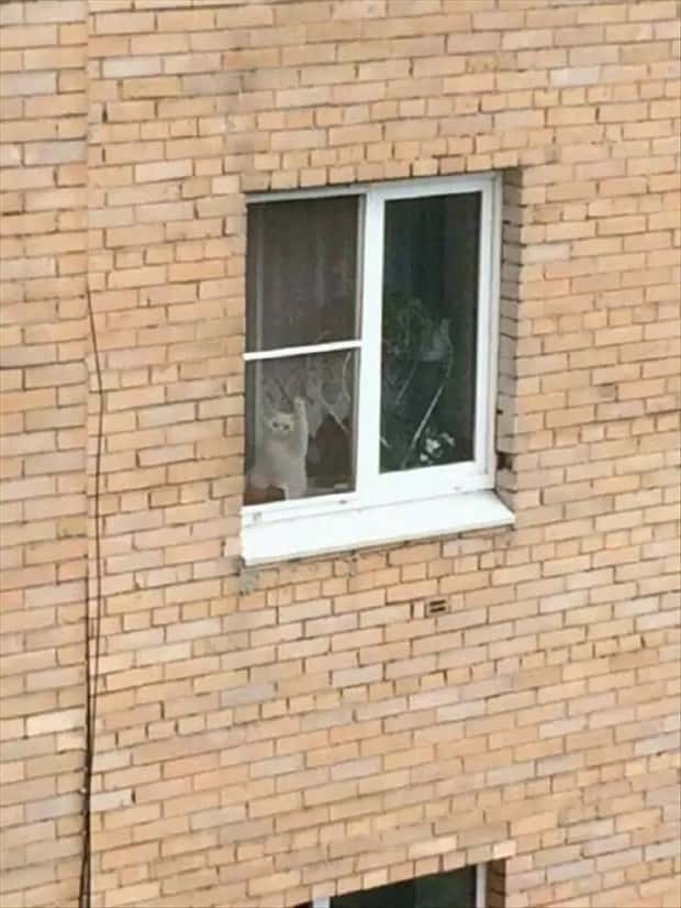 Klyker Picdump #1524 (44 photos)