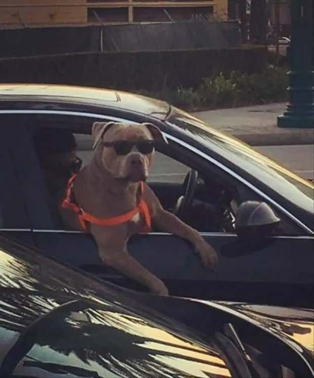 Klyker Picdump #1524 (44 photos)