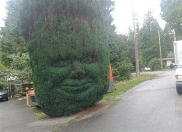 Klyker Picdump #1524 (44 photos)