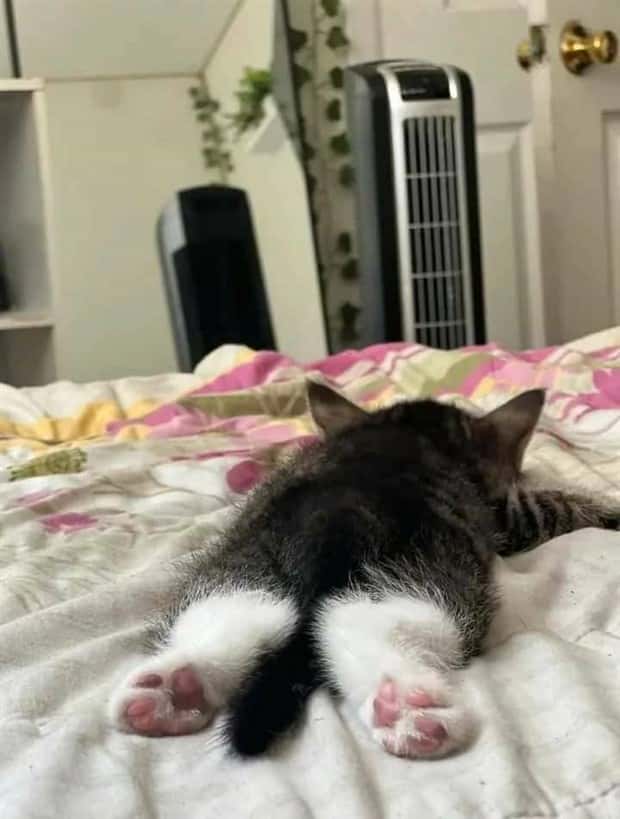 Klyker Picdump #1522 (42 photos)