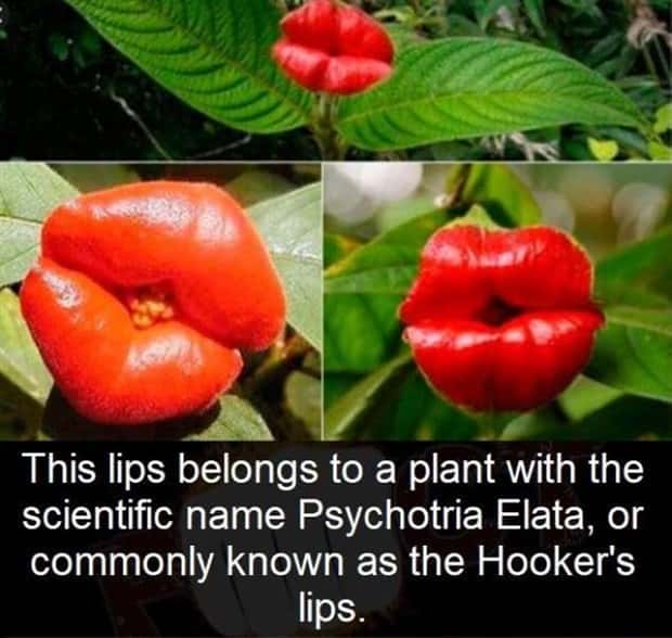 Klyker Picdump #1522 (42 photos)