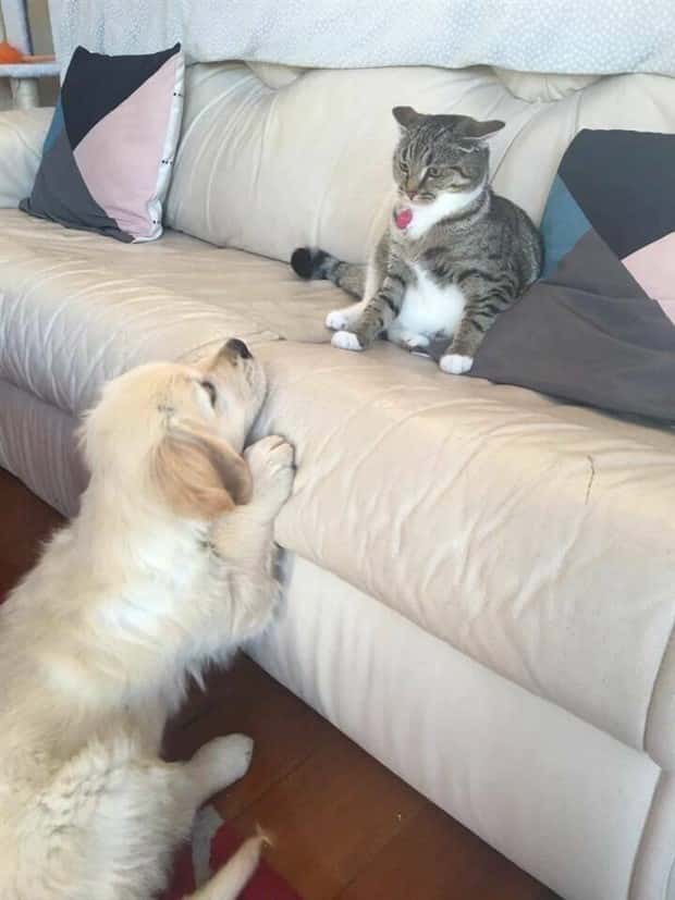 Klyker Picdump #1522 (42 photos)