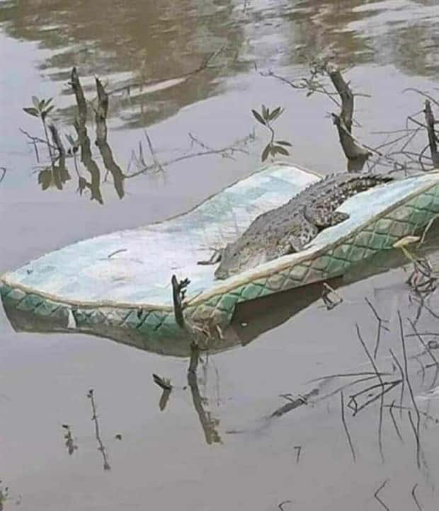 Klyker Picdump #1522 (42 photos)