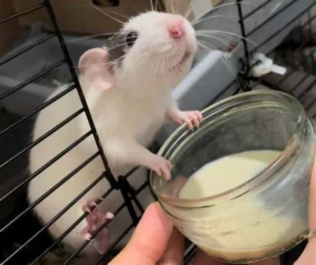 Klyker Picdump #1522 (42 photos)