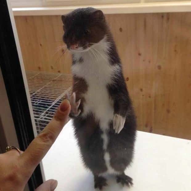 Klyker Picdump #1522 (42 photos)