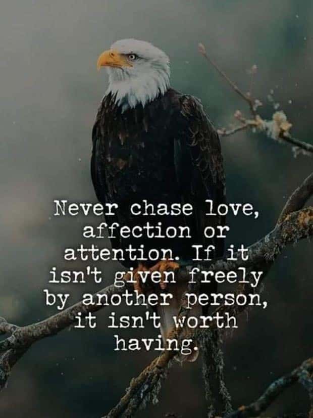 motivational quotes 11 3 Motivational Quotes, Because It’s Monday #116 (25 photos)