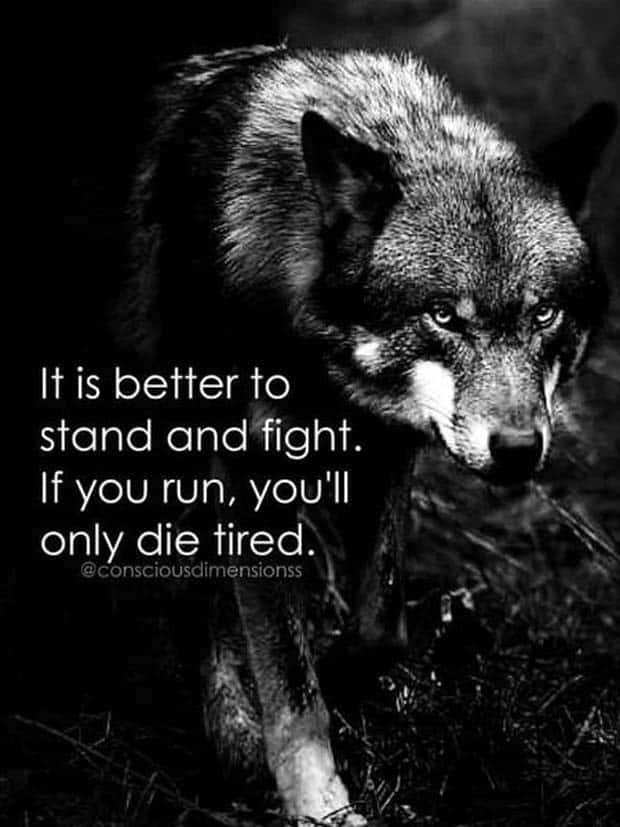 motivational quotes 17 2 Motivational Quotes, Because It’s Monday #115 (23 photos)