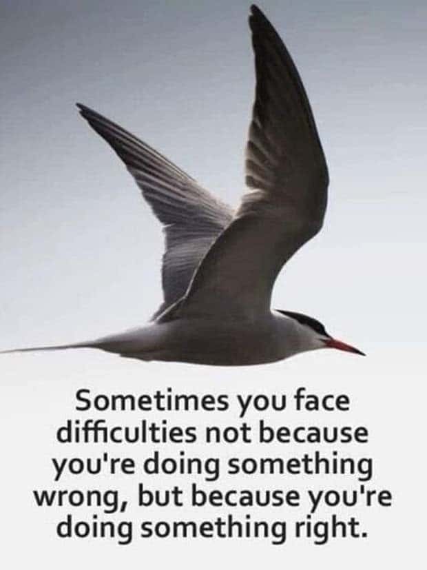 motivational quotes 18 2 Motivational Quotes, Because It’s Monday #115 (23 photos)