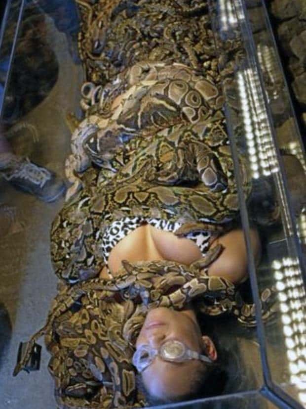 people covered in snakes 21 21 Hair Raising Images of People Covered in Snakes (21 photos)