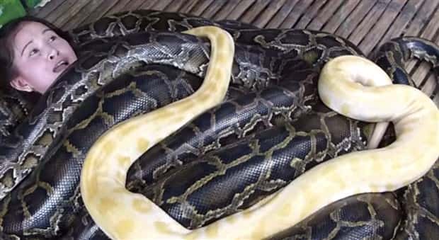 people covered in snakes 5 21 Hair Raising Images of People Covered in Snakes (21 photos)