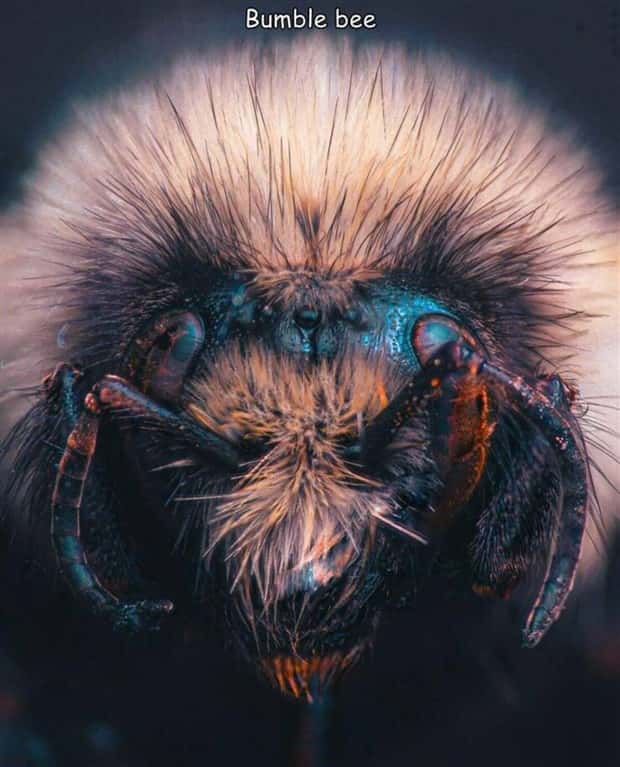 Interesting Pictures with Captions #114 (21 photos)