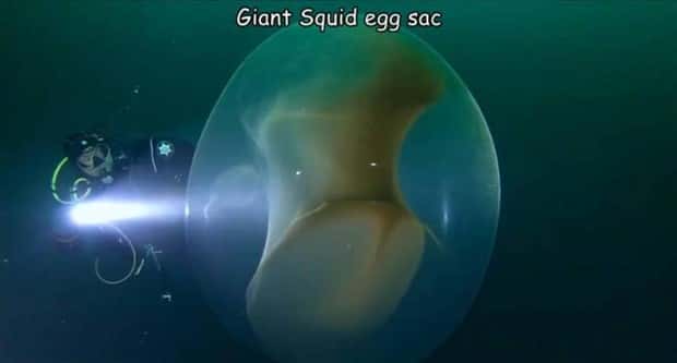 Interesting Pictures with Captions #115 (22 photos)