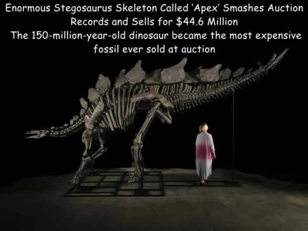 Interesting Pictures with Captions #114 (21 photos)