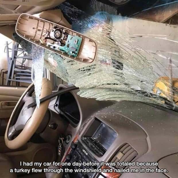 Shit Happens Regularly, Get Used To It #288 (25 photos)