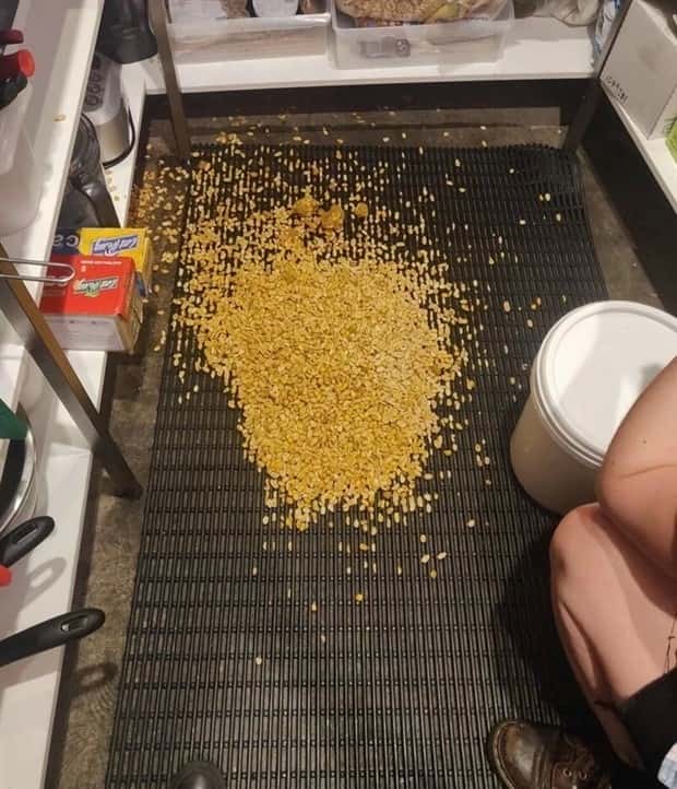 Shit Happens Regularly, Get Used To It #290 (26 photos)