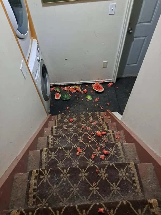 Shit Happens Regularly, Get Used To It #290 (26 photos)