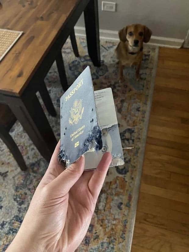 Shit Happens Regularly, Get Used To It #291 (24 photos)