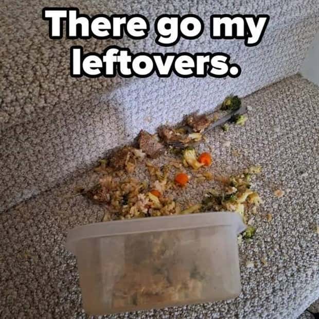 Shit Happens Regularly, Get Used To It #288 (25 photos)