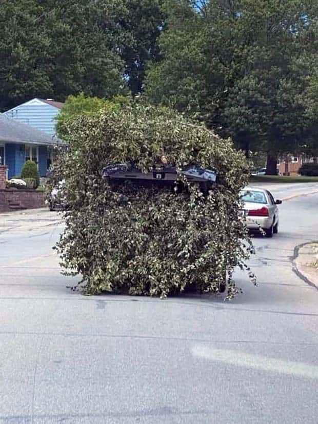 Bizarre Road Situations That Defy Explanation (28 photos)