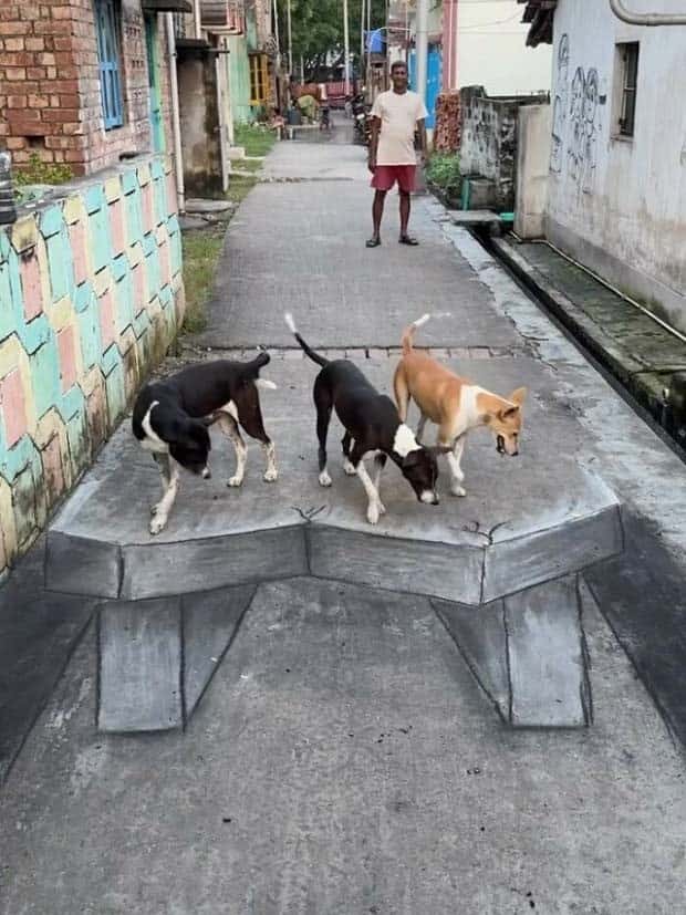 Teacher’s 3D Chalk Art Wows Community (25 photos)