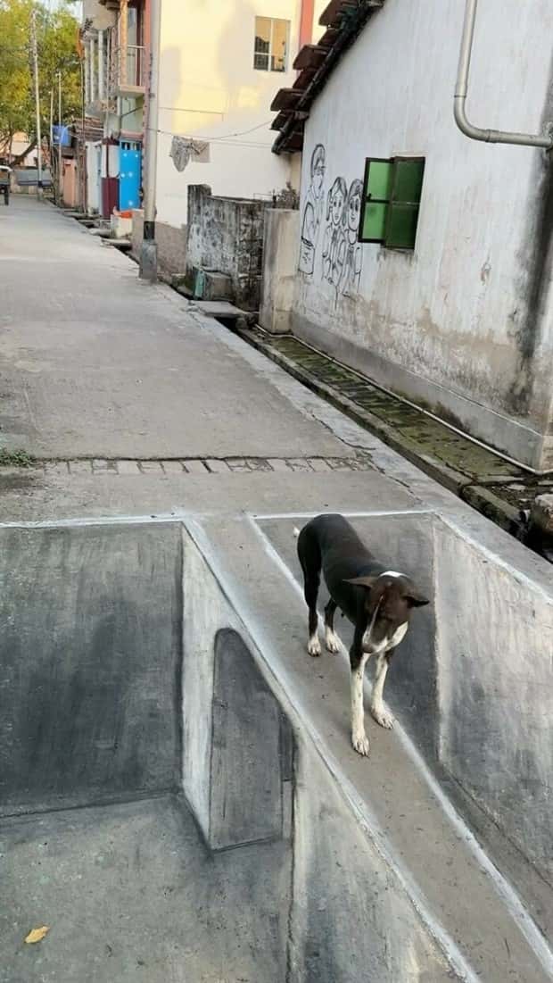 Teacher’s 3D Chalk Art Wows Community (25 photos)