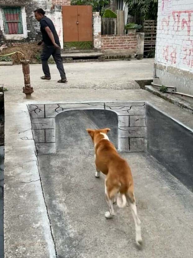 Teacher’s 3D Chalk Art Wows Community (25 photos)