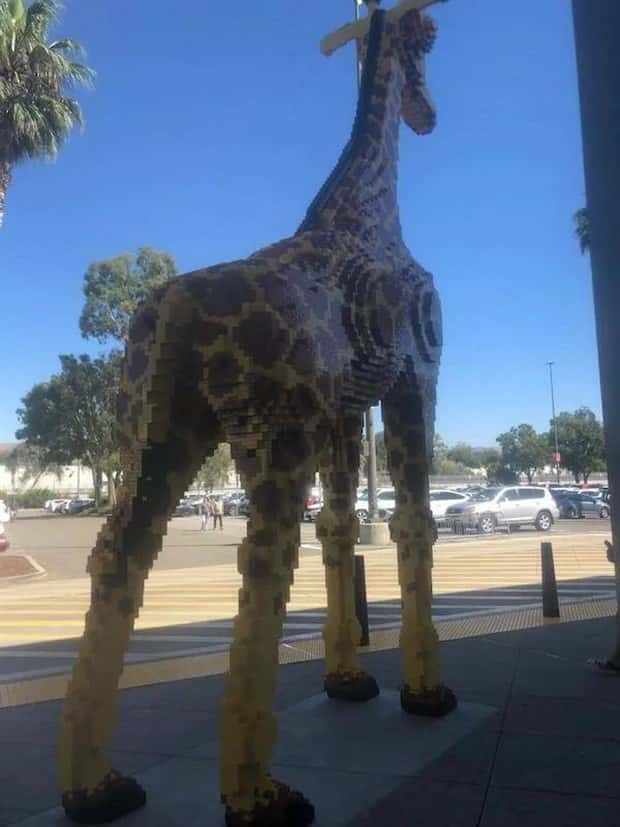 Impressive Achievements That Wow You (30 photos)