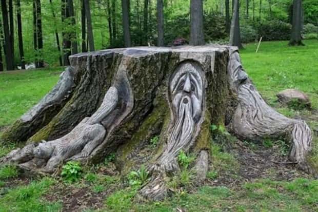 Impressive Achievements That Wow You (30 photos)